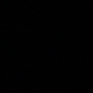 Meet your Posher, Lily